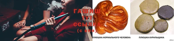 гидра Зеленокумск