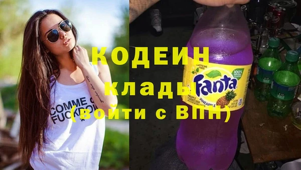 стаф Зерноград